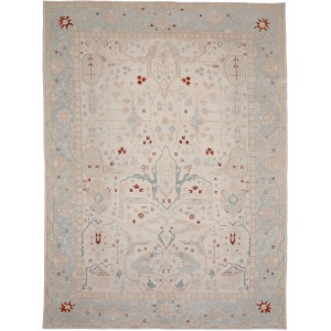46474 Ziegler Pakistani 